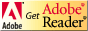 Скачать бесплатно Adobe Reader 6.0